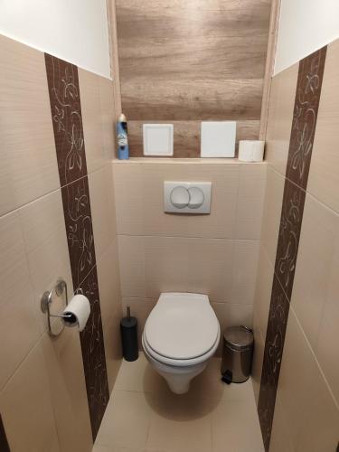 ein kleines Bad mit WC in einer Kabine in der Unterkunft Hegin Exclusiv Home in Budapest