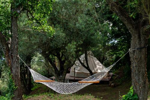 a hammock hanging between two trees in a forest at Habitat Eco Farm in Sorrento