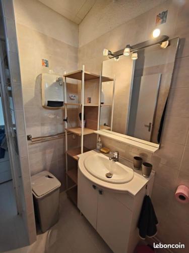 une salle de bain avec un lavabo, des toilettes et un miroir dans l'établissement Les Coralines - Jolie villa de vacances - Piscine - Wifi - Clim, à Saint-Cyprien