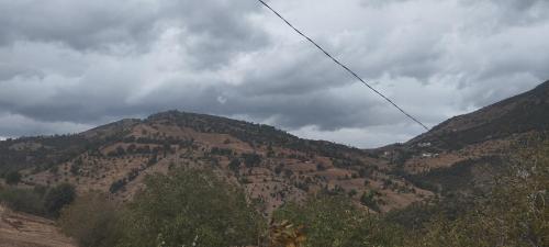 una vista de una montaña con árboles en ella en Panoramic ketama, en Ketama