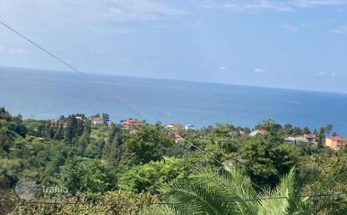 Landskap semula jadi dekat dengan rumah percutian