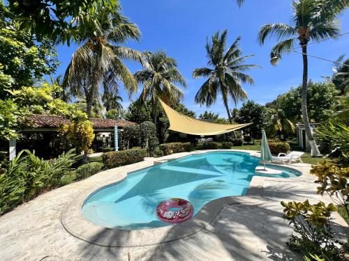 einen Pool in einem Garten mit Palmen in der Unterkunft Beautiful beach house in Los Cobanos El Salvador in Los Cóbanos