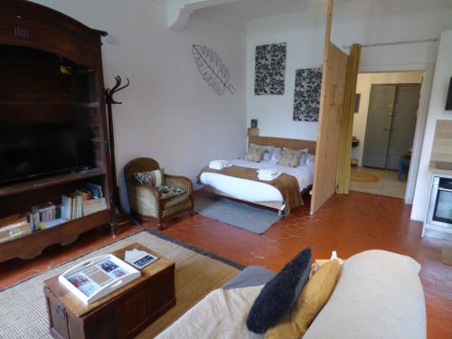 een woonkamer met een bank en een tv bij "Le Bouquet de Pézenas" Wifi-Garage privé optionnel Centre historique-Plages à 21km ! in Pézenas