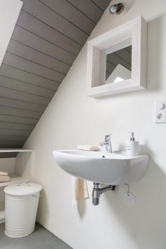 a bathroom with a sink and a toilet at Slapen Bij Brownies & Downies in Valkenswaard