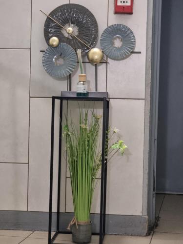 una mesa con una maceta y tres ventiladores en HOTEL ABOUKIR, en París