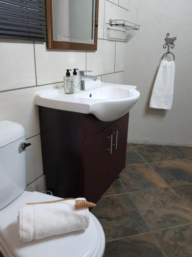 a bathroom with a sink and a toilet at Rhino Manor in Vanderkloof