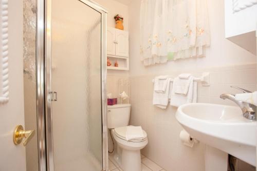 een witte badkamer met een toilet en een wastafel bij Venice Villas * Villa Regina #5 in Venice