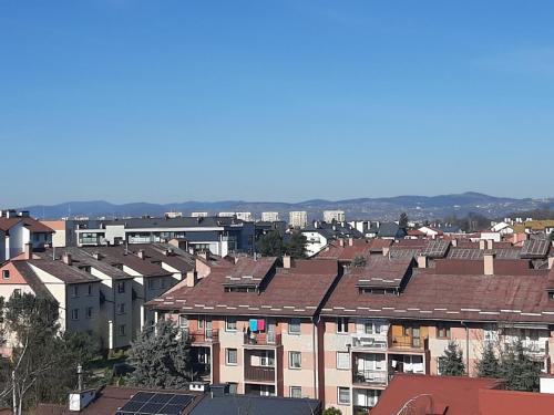 a group of buildings with roofs in a city at Apartament Browarna in Nowy Sącz