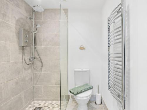 uma casa de banho com um WC e uma cabina de duche em vidro. em 1 Bed in Brixham 78520 em Galmpton-on-the-Dart