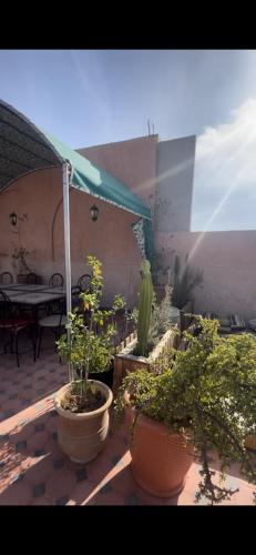 un groupe de plantes en pot en pots sur un patio dans l'établissement Oasis Urbaine - Cosy & Soleil, à Taroudant