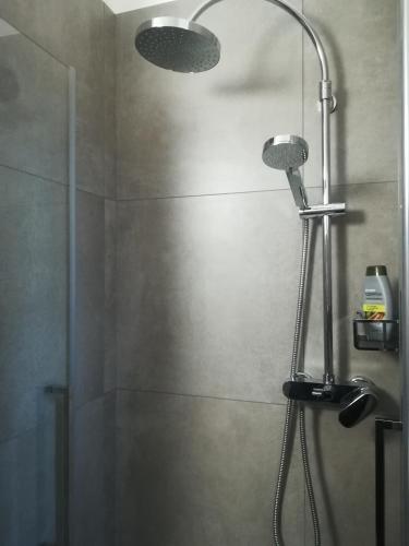 a shower with a shower head in a bathroom at B&B Ferluga in Trieste