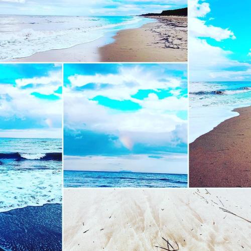 a collage of four pictures of the beach at Casa di Babbo …la Cabane in Sorbo-Ocagnano