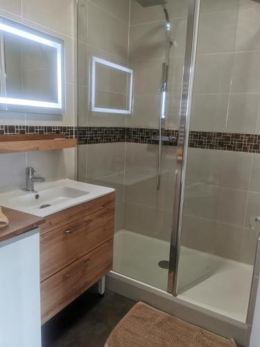 une salle de bain avec douche et lavabo dans l'établissement CENTRE-CATHEDRALE-CORDELIERS avec garage, à Reims