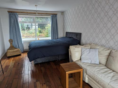 a living room with a bed and a couch at Rooms close to City Centre in Beeston Hill