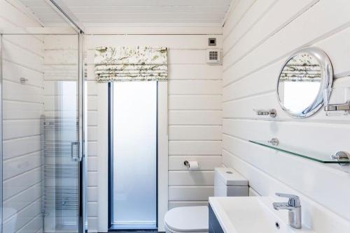 a bathroom with a shower and a toilet and a sink at Roydon Marina - Lodge 5 - Hot Tub in Roydon