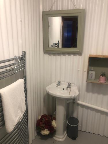uma casa de banho com um lavatório e um espelho em Bob’s Cabin em Galway