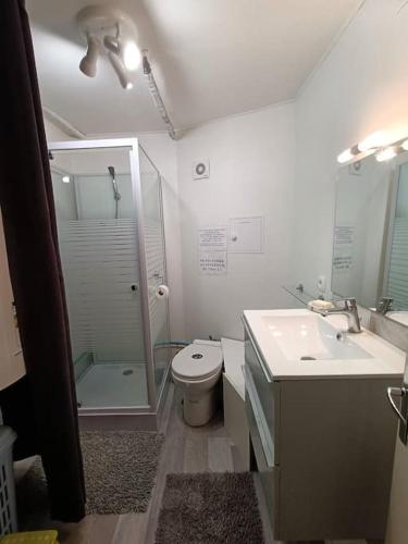 une salle de bain avec une douche, des toilettes et un lavabo dans l'établissement Chalet Le Casalandre, à Arette