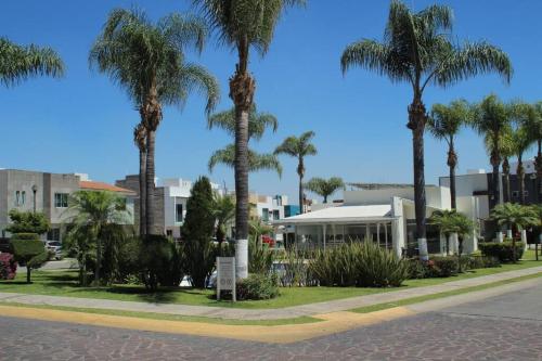 a street with palm trees and a building at Casa Bon es una propiedad completa al sur de la ciudad que te ofrece modernidad, espacio, tranquilidad, cuenta con 4 recamaras 3 baños completos y 2 cajones de estacionamiento privados in Guadalajara