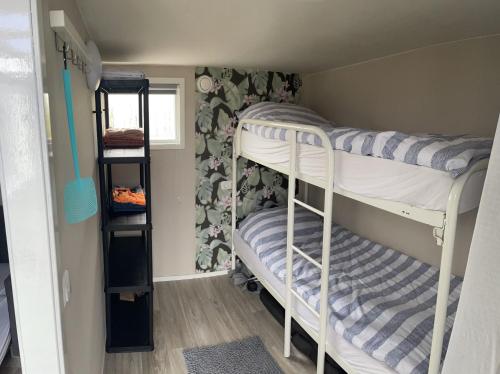 Luxe chalet Friesland i14 - 5 pers tesisinde bir ranza yatağı veya ranza yatakları