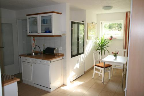 a kitchen with a sink and a table at Haus König Ferienwohnung 1 und 2 in Lichtenhain