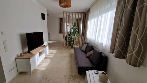 een woonkamer met een bank en een flatscreen-tv bij Stilvolle gemütliche Wohnung! in Roßdorf