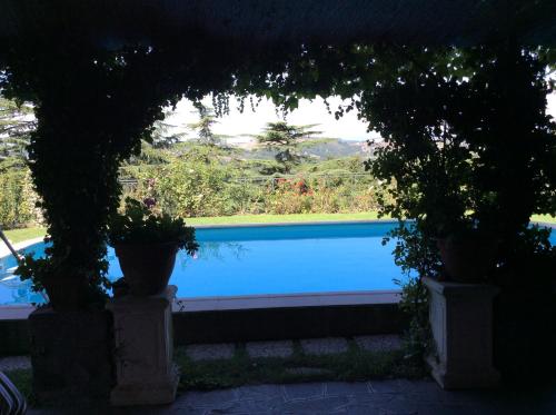 a view of a swimming pool with two potted plants at Villa Nanda a 15 minuti da Roma piscina esclusiva , villa nella natura in Formello