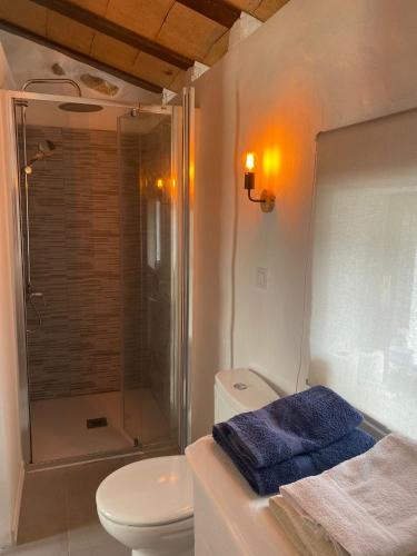 a bathroom with a toilet and a shower with a blue towel at Altea Serenity in Altea