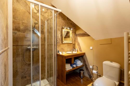 a bathroom with a shower and a toilet at L'Hotel de Panette, chambres indépendantes - entrée sainte Chapelle in Bourges