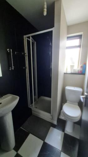 ein Bad mit einer Dusche, einem WC und einem Waschbecken in der Unterkunft Little house in the City in Dublin