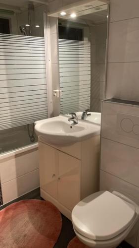 bagno con servizi igienici, lavandino e specchio di Chez Rémy a Yverdon-les-Bains