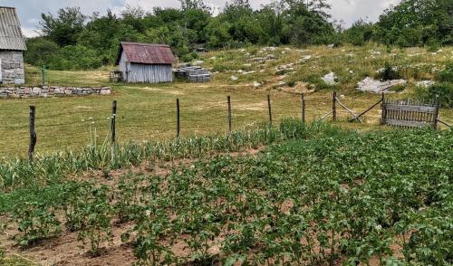 een boerderij met een hek en een schuur op een heuvel bij Etno Selo Ja. in Nikšić