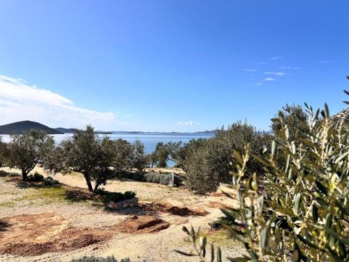 Φυσικό τοπίο κοντά σε αυτό το διαμέρισμα