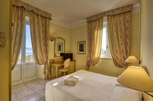 阿倫扎諾的住宿－埃納酒店，卧室配有一张床、一张书桌和窗户。