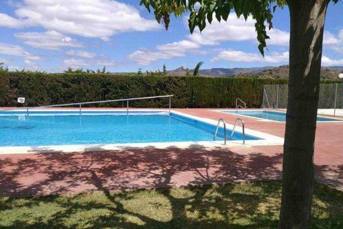 a swimming pool in a yard with a tree at Ca lAixut Turismo Rural in Gratallops