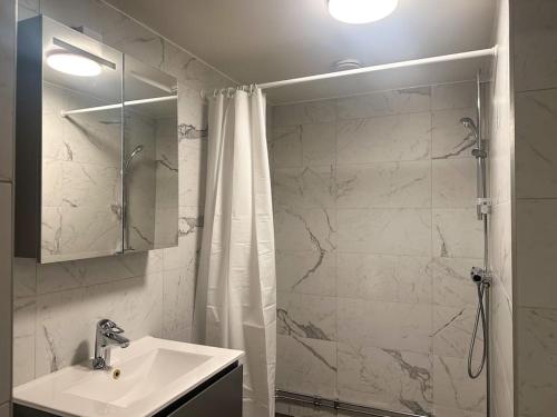 uma casa de banho com um lavatório e um chuveiro com uma cortina de chuveiro em Spacious Studio Apartment em Estocolmo
