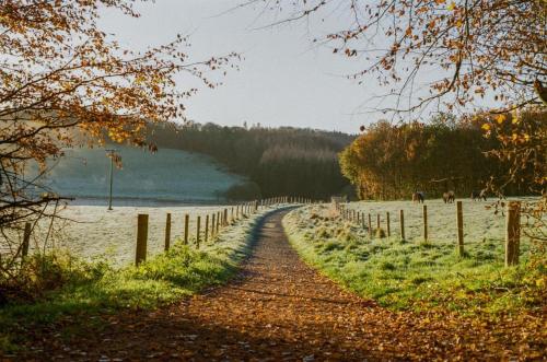 un camino de tierra junto a un campo con una valla en Monaghan Town House sleeps 12 5 mins walk to Town Centre, en Monaghan