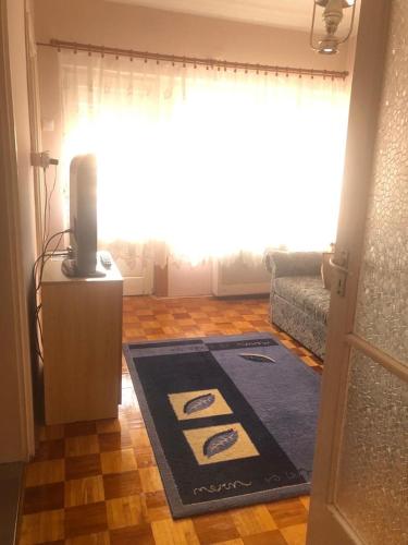 a living room with a television and a rug at Ádám és Anett Vendégház in Mezőkövesd