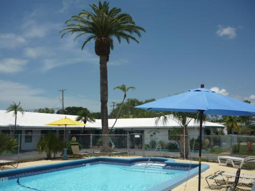 a palm tree and a swimming pool with an umbrella at Palm Court Motel in Dunedin