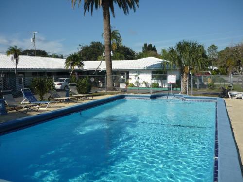 a large blue swimming pool with palm trees and a building at Palm Court Motel in Dunedin