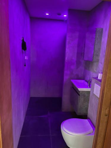 een paarse badkamer met een toilet en een wastafel bij Fenix-SPA in Brussel