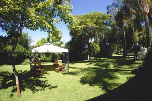 a park with chairs and an umbrella and trees at Upington African Vineyard Boutique Hotel & SPA in Kanoneiland