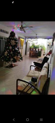 Puerto Boyacá的住宿－Hotel morichal，一间客厅,客厅里放着圣诞树