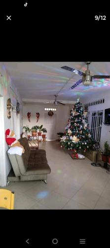 Puerto Boyacá的住宿－Hotel morichal，客厅配有圣诞树和沙发