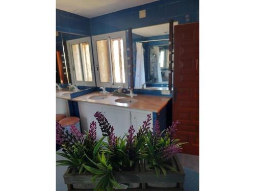 a bathroom with a sink and a counter with purple flowers at Mas Sibina in Terrades