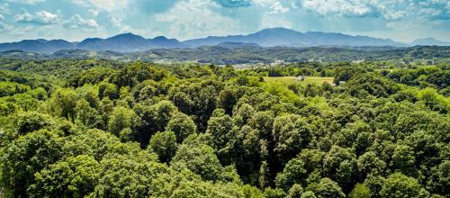 an aerial view of a forest with mountains in the background at LA MIA STORIA in Beretinec