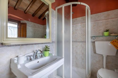 La salle de bains est pourvue d'un lavabo et d'une douche. dans l'établissement Antiche Mura, à Barberino di Val dʼElsa