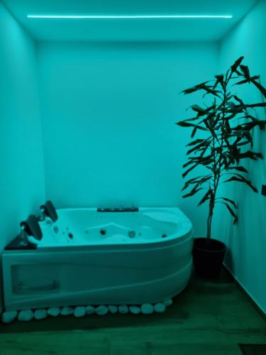 łazienka z wanną i doniczką w obiekcie Green room z opcją jacuzzi w mieście Katowice