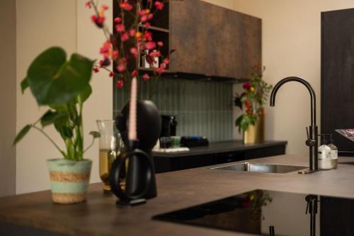 a kitchen counter with a vase with a plant on it at Breda Centrum in Breda