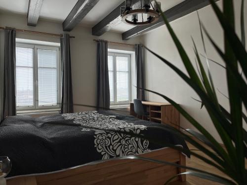 um quarto com uma cama e um vaso de plantas em Rezidence u Vaňkovky em Brno