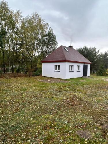 una casa blanca con techo rojo en un campo en Domek letniskowy, en Skępe